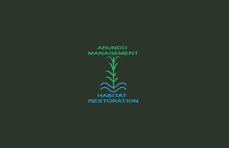 Arundo Habitat Management