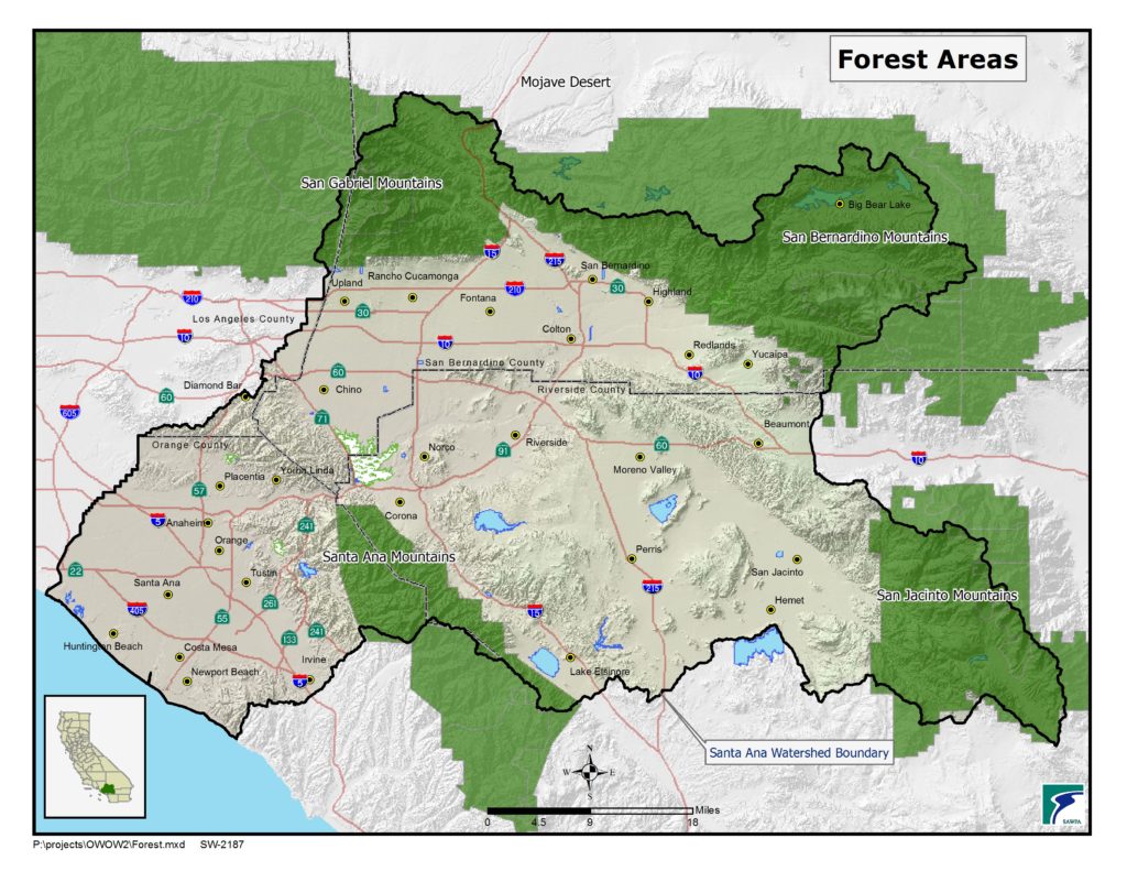 GIS map of Forest Areas